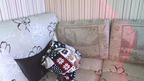 Snapshot of cameron_crowly chatting on 01/17/25, 09:17 Cameron online show from 01/17/25, 09:17