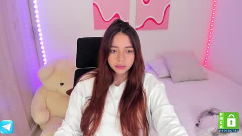 Snapshot of camila_ec2 chatting on 02/10/25, 11:34 C A M I online show from 02/10/25, 11:34