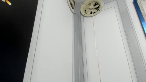 Camila  online show from 12/24/24, 10:11