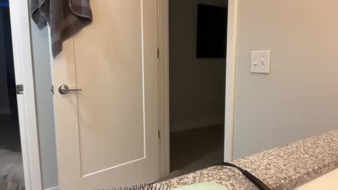 Snapshot of camiliakxoxo chatting on 12/08/24, 10:41 camiliakxoxo online show from 12/08/24, 10:41