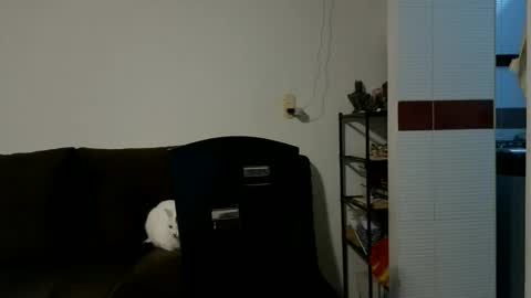 Snapshot of camiloex chatting on 10/15/25, 09:26 Camilo online show from 10/15/25, 09:26