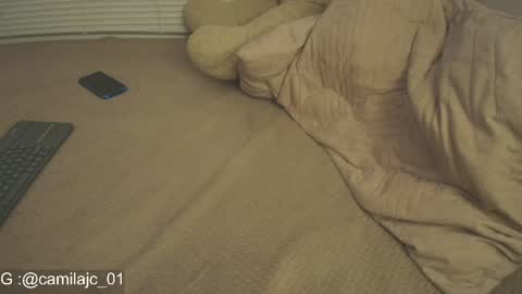 Snapshot of cammile_cole chatting on 04/21/26, 04:34 Laura Camila online show from 04/21/26, 04:34