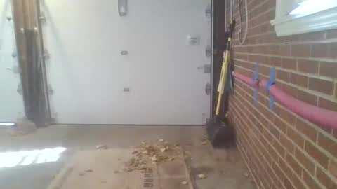 cammyman6900 online show from 11/13/25, 04:28