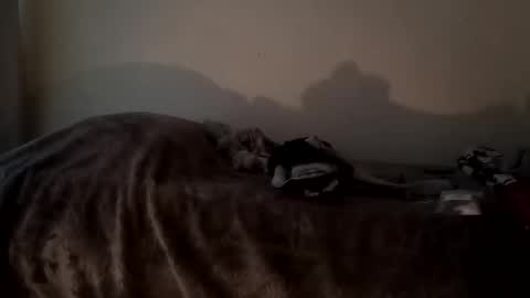 Snapshot of camren777 chatting on 10/07/25, 02:47 Camren online show from 10/07/25, 02:47