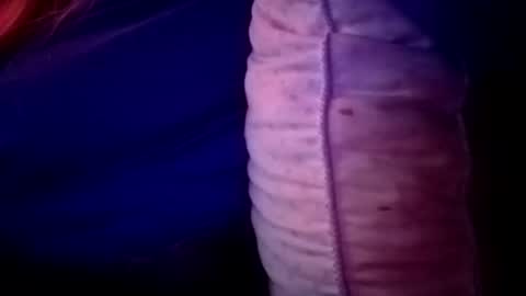 Candi online show from 11/16/25, 02:06