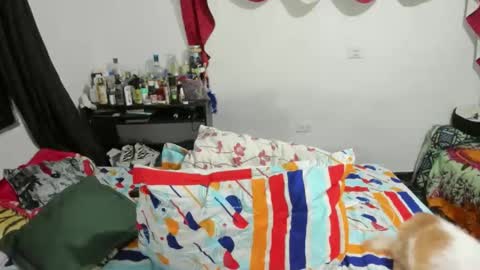 Snapshot of candlexx_ chatting on 02/10/25, 03:35 candlex online show from 02/10/25, 03:35