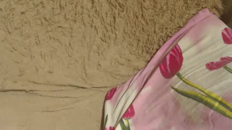 say meow and send tips  online show from 12/05/24, 10:34