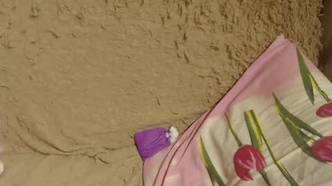 say meow and send tips  online show from 12/19/24, 02:34