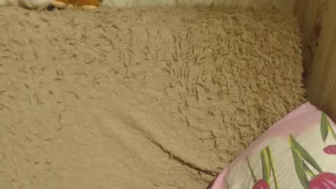 Snapshot of candylady136 chatting on 12/18/24, 06:14 say meow and send tip online show from 12/18/24, 06:14