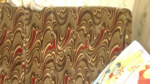 Snapshot of candylady136 chatting on 03/02/25, 01:05 say meow and send tip online show from 03/02/25, 01:05