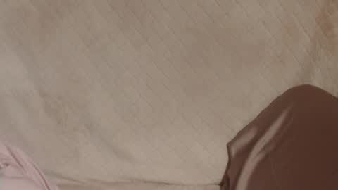 say meow and send tip  online show from 03/31/26, 06:41