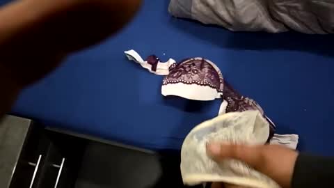 capoo24 online show from 10/28/25, 10:08