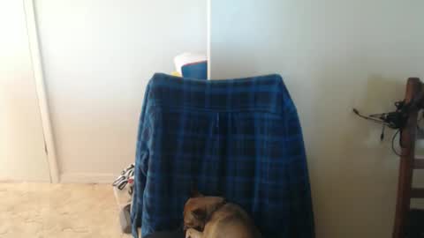 capt5105 online show from 03/05/26, 03:13