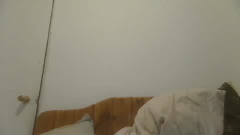 Snapshot of caravibugue chatting on 12/07/24, 01:03 caravibugue online show from 12/07/24, 01:03