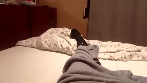 Snapshot of carlitito1 chatting on 10/06/25, 07:17 carlitito1 online show from 10/06/25, 07:17