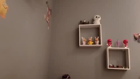 Snapshot of carlitito1 chatting on 11/19/25, 07:52 carlitito1 online show from 11/19/25, 07:52