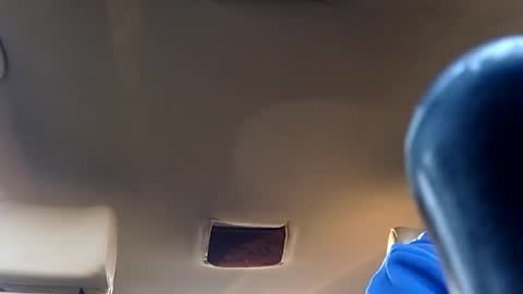 Snapshot of carlitito1 chatting on 02/03/26, 07:46 carlitito1 online show from 02/03/26, 07:46