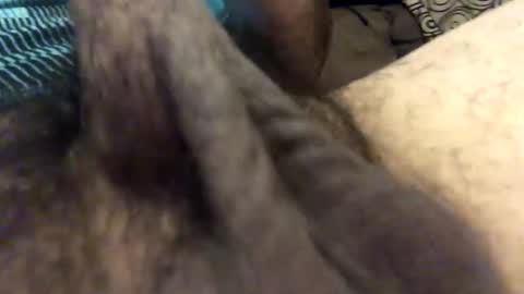 Snapshot of carlitos34m906127 chatting on 02/07/26, 08:51 carlitos34m906127 online show from 02/07/26, 08:51