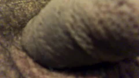 Snapshot of carlitos34m906127 chatting on 02/14/26, 10:01 carlitos34m906127 online show from 02/14/26, 10:01