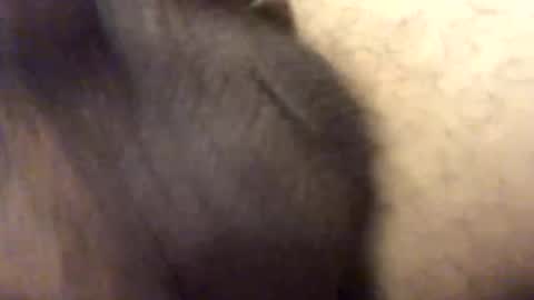 Snapshot of carlitos34m906127 chatting on 02/17/26, 10:56 carlitos34m906127 online show from 02/17/26, 10:56