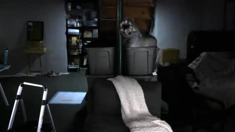 Carl online show from 02/04/25, 08:02