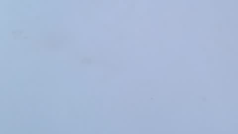 Snapshot of caro_loving chatting on 02/16/26, 03:24 caro online show from 02/16/26, 03:24