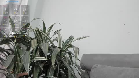 Snapshot of carolina_t chatting on 01/22/25, 12:59 carolina_t online show from 01/22/25, 12:59