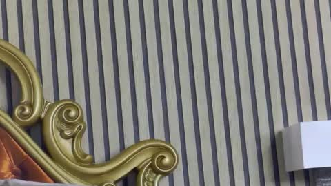 carolinahart online show from 05/14/26, 03:41