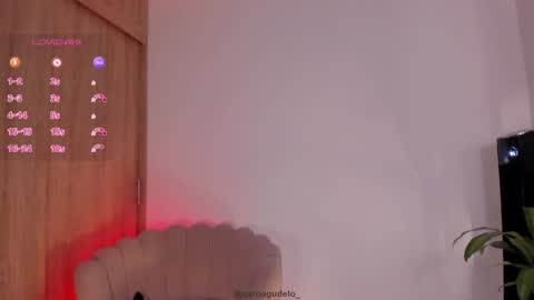 Snapshot of carolinna_ chatting on 05/29/26, 12:30 carolinna_ online show from 05/29/26, 12:30