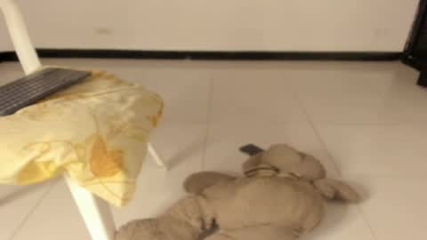 Caro online show from 03/11/26, 12:22