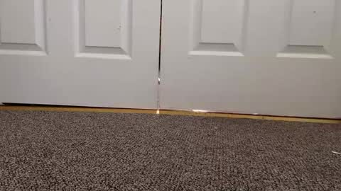 cash13bychanel online show from 01/22/25, 08:17