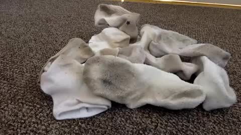 cash13bychanel online show from 02/04/25, 06:38