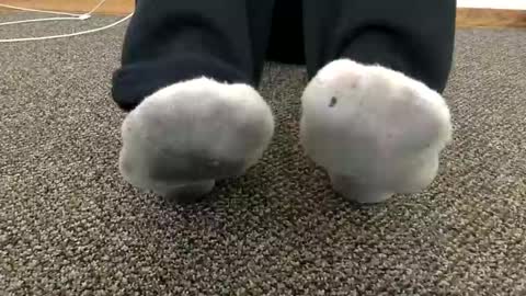 cash13bychanel online show from 11/14/25, 07:34