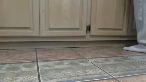 cash13bychanel online show from 12/22/25, 07:44