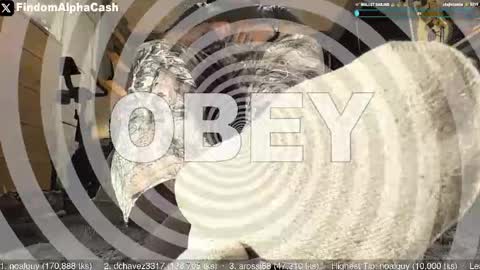 Master Grey online show from 05/15/26, 04:08