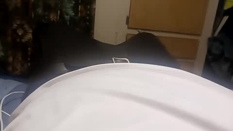 Sir Stroke Alot online show from 02/23/25, 09:00