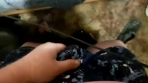 Sir Stroke Alot online show from 03/11/25, 06:32