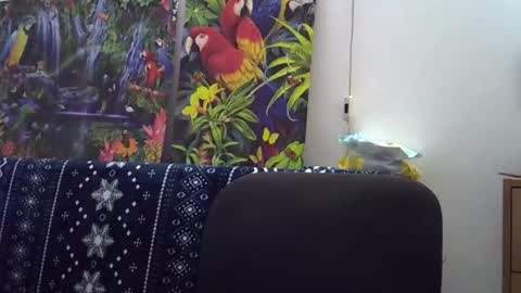 Snapshot of cassandra191 chatting on 12/05/25, 01:42 Cassandra online show from 12/05/25, 01:42