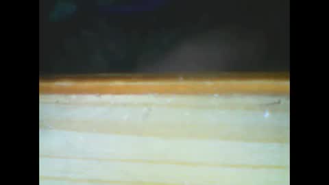 castells online show from 12/15/25, 06:01