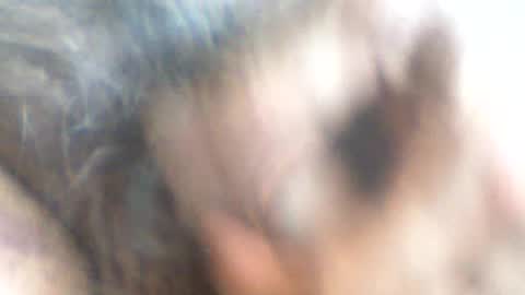Snapshot of castells chatting on 06/26/26, 03:49 castells online show from 06/26/26, 03:49