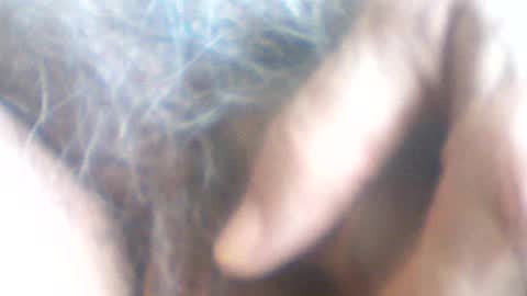 Snapshot of castells chatting on 07/07/26, 02:43 castells online show from 07/07/26, 02:43
