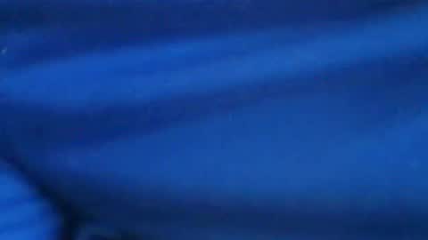 Snapshot of castells chatting on 07/29/26, 03:21 castells online show from 07/29/26, 03:21