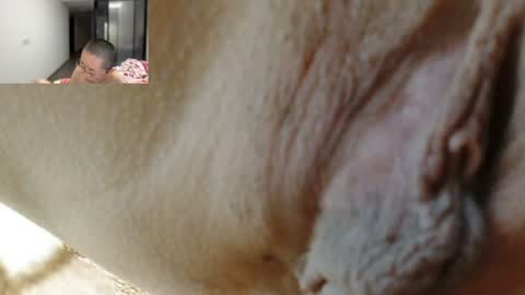 ANNYANNY online show from 06/25/26, 02:54