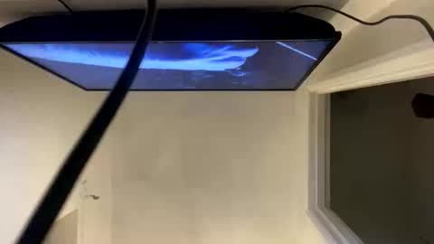 ccsexycam online show from 04/10/26, 01:00
