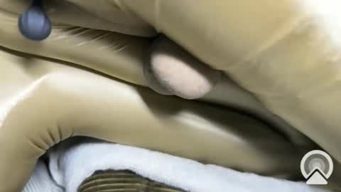 ccXora online show from 03/07/26, 06:05