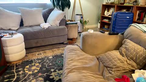 Snapshot of cdub2533 chatting on 02/22/26, 05:55 Coach Daddy online show from 02/22/26, 05:55