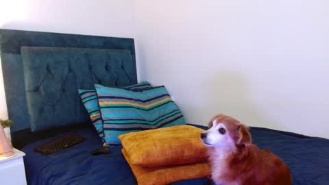 Cedrixx10 online show from 10/25/25, 01:02