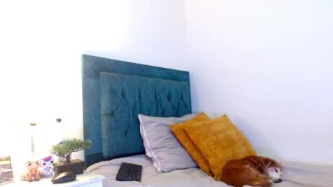 Cedrixx10 online show from 02/25/26, 10:19