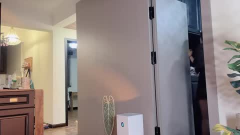 celestisse1 online show from 04/21/26, 11:27