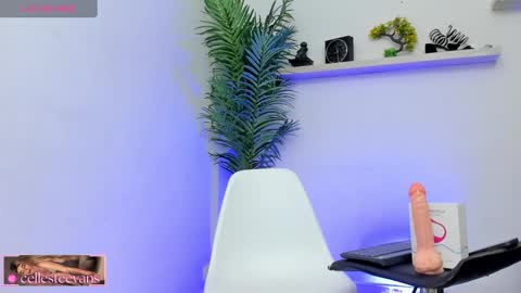 Celeste  online show from 01/25/25, 09:04